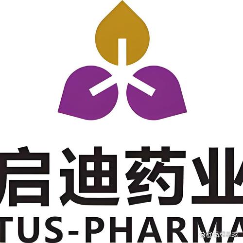 每天了解一家企业 启笛科技的品牌知识全景解读
